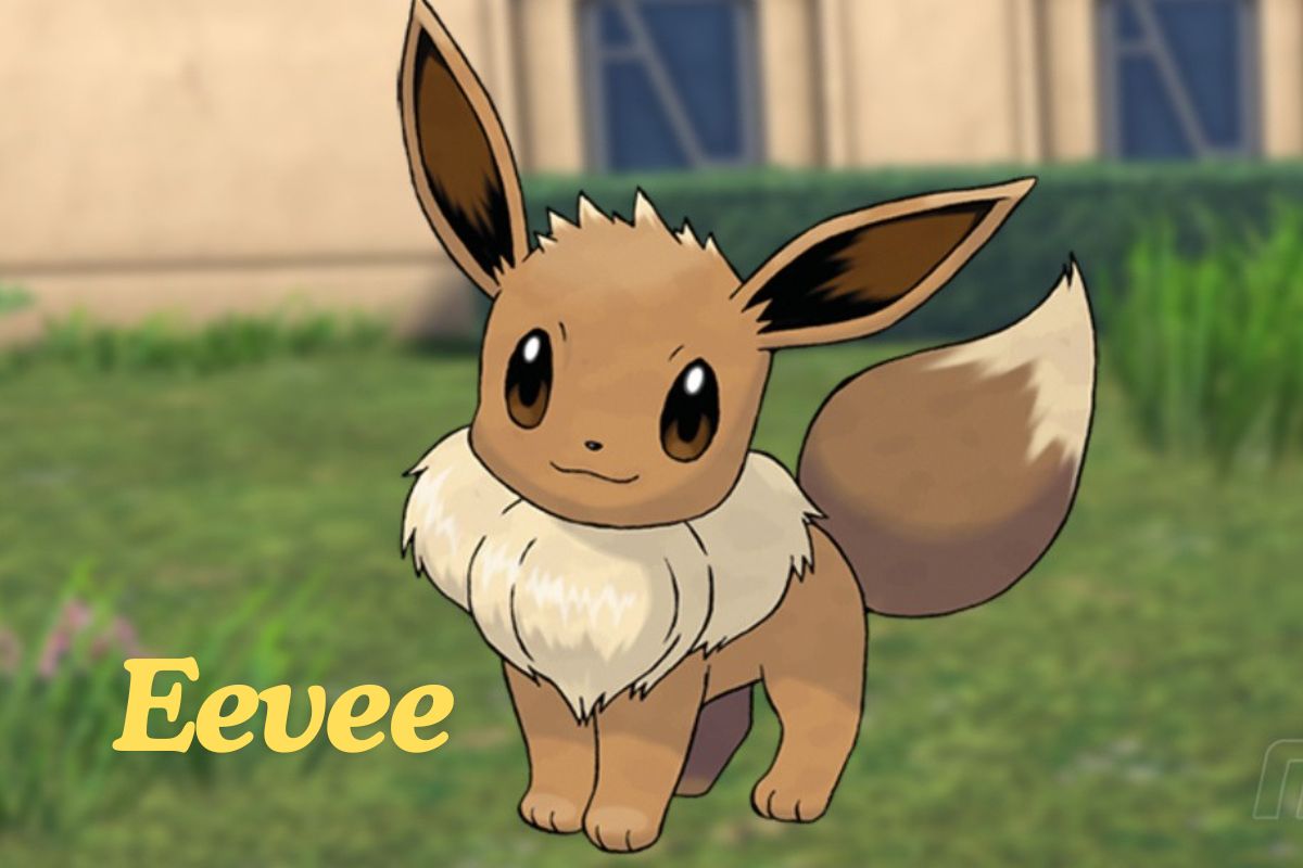 Eevee